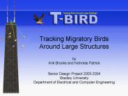 Tracking Migratory Birds Around Large Structures