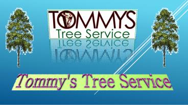 Benefits of Tree Trimming