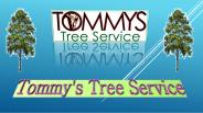 Benefits of Tree Trimming