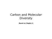Carbon%20and%20Molecular%20Diversity