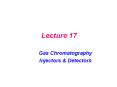 Gas%20Chromatography PowerPoint PPT Presentation