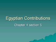 Egyptian Contributions