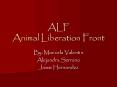 ALF Animal Liberation Front PowerPoint PPT Presentation