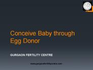 Conceive Baby Through Egg Donor
