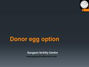 Donor Egg Option
