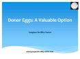 Donor Eggs PowerPoint PPT Presentation