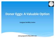 Donor Eggs