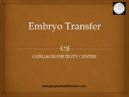 Embryo transfer