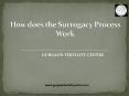 How Does the Surrogacy Process work PowerPoint PPT Presentation