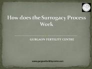 How Does the Surrogacy Process work