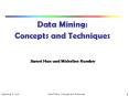 Data Mining: Concepts and Techniques PowerPoint PPT Presentation