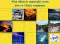 What effects do catastrophic events have on TEXAS ecosystems? PowerPoint PPT Presentation