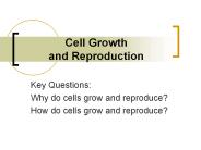 Cell Growth and Reproduction
