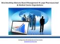 Benchmarking Ad Board Management at Large Pharmaceutical Organization PowerPoint PPT Presentation