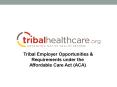 Tribal Employer Opportunities PowerPoint PPT Presentation