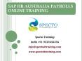 Best training on sap hr australia payrolls in india PowerPoint PPT Presentation