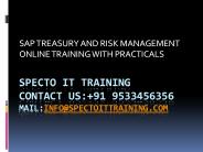 sap trm online training