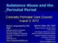 Substance Abuse and the Perinatal Period PowerPoint PPT Presentation