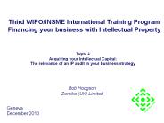 Third WIPO/INSME International Training Program