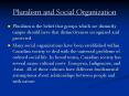 Pluralism and Social Organization PowerPoint PPT Presentation
