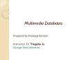 Multimedia Databases PowerPoint PPT Presentation