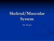 Skeletal/Muscular System