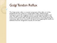 Golgi Tendon Reflux