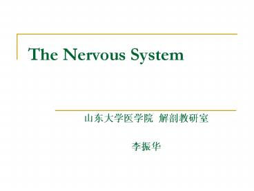 The Nervous System