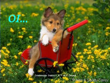 Desejos para um bom dia