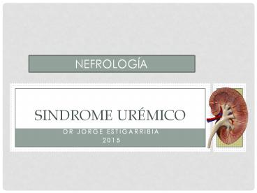 Dr jorge estigarribia