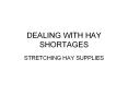 DEALING WITH HAY SHORTAGES PowerPoint PPT Presentation