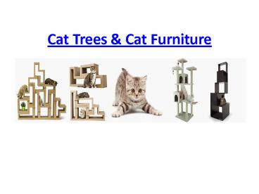 Cat trees & Cat Furniture - Great Gift for your cats