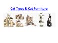 Cat trees & Cat Furniture - Great Gift for your cats PowerPoint PPT Presentation
