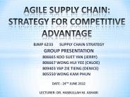 BJMP 6233 SUPPLY CHAIN STRATEGY