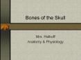 Bones of the Skull PowerPoint PPT Presentation