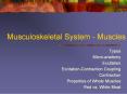 Musculoskeletal System - Muscles PowerPoint PPT Presentation
