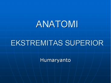 ANATOMI EKSTREMITAS SUPERIOR