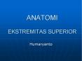 ANATOMI EKSTREMITAS SUPERIOR PowerPoint PPT Presentation