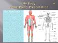My Body PowerPoint Presentation PowerPoint PPT Presentation