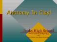 Anatomy%20In%20Clay! PowerPoint PPT Presentation