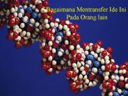 Bagaimana Mentransfer Ide Ini