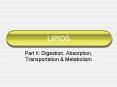 LIPIDS PowerPoint PPT Presentation