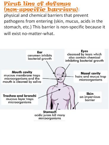 First line of defense