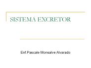 SISTEMA EXCRETOR