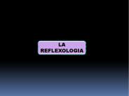 Diapositiva 1