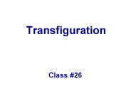 Transfiguration