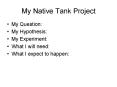 My Native Tank Project PowerPoint PPT Presentation