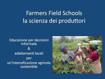 Farmers%20Field%20Schools%20la%20scienza%20dei%20produttori