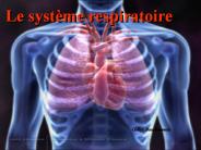 Aucun titre de diapositive