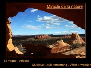 Miracle de la nature
